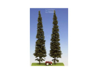 Spruce (Kuusi) with Short Trunk, Korkeus 280-320mm