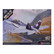 McDonnell-Douglas F/A-18C USMC ”VMFA(AW)-225 Vikings” 1/72