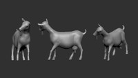 Goats  1/72