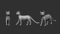 Cats  1/35