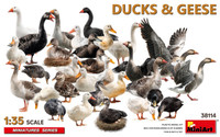 1/35 Ducks & Geese