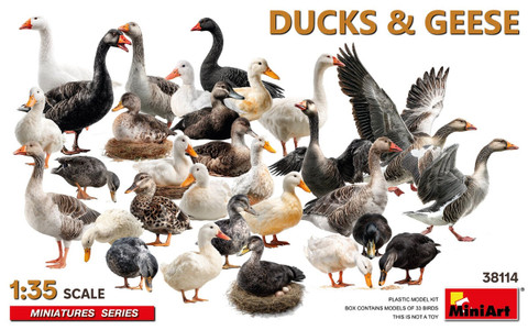 1/35 Ducks & Geese