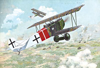 Fokker D.VII (Alb. Late)  1/48