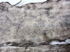 Mateennahka,  rasva parkittu, pituus 20-25cm