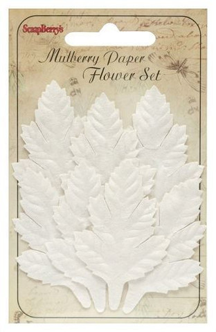 Scrapberry: Cedar  - paperilehtipakkaus