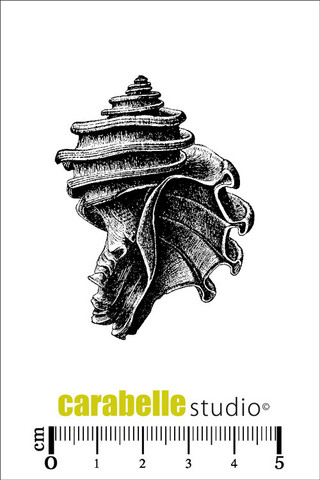 Carabelle Studio: Shell 2