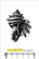 Carabelle Studio: Shell 2
