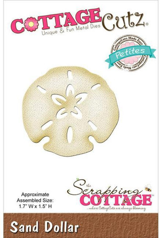 Sand Dollar  -stanssi