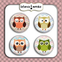 Flair Buttons: Owls  -  koristeet
