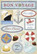 Cardstock Stickers : Let's Cruise
