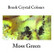 Brusho Crystal Colors -  Moss Green 15g