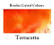 Brusho Crystal Colors -  Terracotta 15g