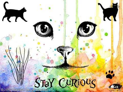 Curious Cats A6 -leimasinsetti