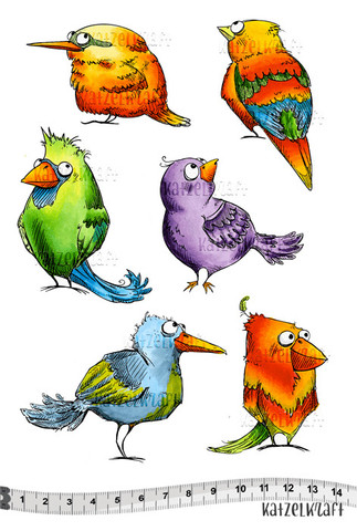 Birds A5 - unmounted leimasinsetti