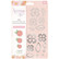Spring is in the Air Stamps & Dies :  Aster