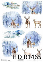 A4 riisipaperiarkki #1465