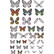 Tim Holtz Idea-ology:  Transparent Wings
