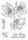 13arts: Sky Flowers A7 - kirkas leimasinsetti