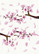 13arts: Pastel Spring A6 - paperikokoelma