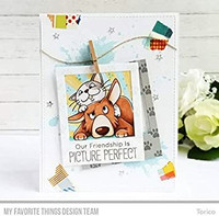 MFT: Polaroid Shaker Frame -stanssi
