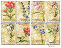 Decorer: Herbarium - minipaperisetti