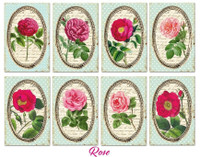 Decorer: Rose - minipaperisetti