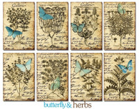 Decorer: Butterfly & Herbs - minipaperisetti