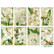 Decorer: White Flower - minipaperisetti