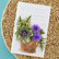 Spellbinders: Ornamental Cabbage & Kale  - stanssisetti
