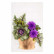 Spellbinders: Ornamental Cabbage & Kale  - stanssisetti