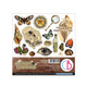 Ciao Bella: Fussy Cut Pad 6x6 - Cabinet of Curiosities