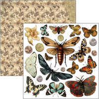 Ciao Bella: Fussy Cut Pad 6x6 - Cabinet of Curiosities