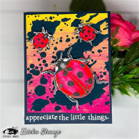 Visible Image: Splash 6x6 - sabluuna 