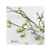 ScrapAndMe: Leaves 16 - stanssisetti