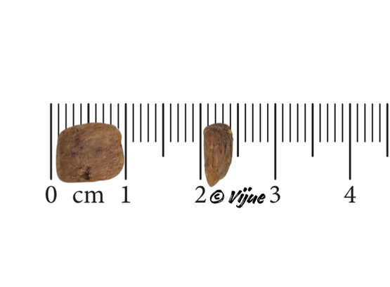 Primum Soft Puppy Kana & peruna, 1,5 kg