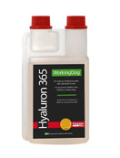 PVM 08/25: Hyaluron 365, 500ml