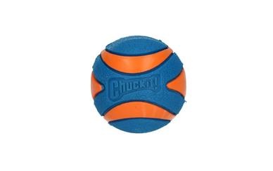 Chuckit Ultra Squeaker Ball