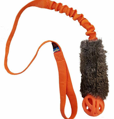 Kinder kaniini chuckit pallolla