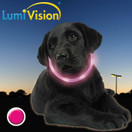 Lumivision valopanta, Pinkki