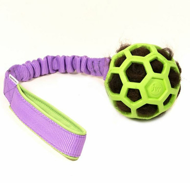 Zayma joustolelu lampaankarvalla ja JW PET Hol-EE Roller XS pallolla