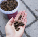 PVM 07/25 : Buddy Training Snack Venison- makupala peura 100 g