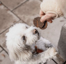 PVM 7/25: Buddy Burger Venison- herkku peura 100 g