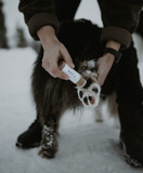 WAP:4 : Paw Pin - tassuvoide puikko 30ml