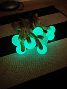 Vijue Hohto jänöllä