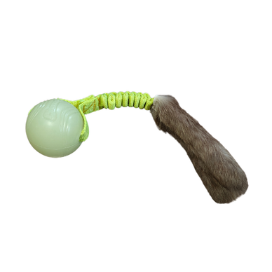 Vijue Hohto jänöllä