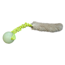 Vijue Hohto jänöllä