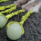 Vijue Hohto jänöllä