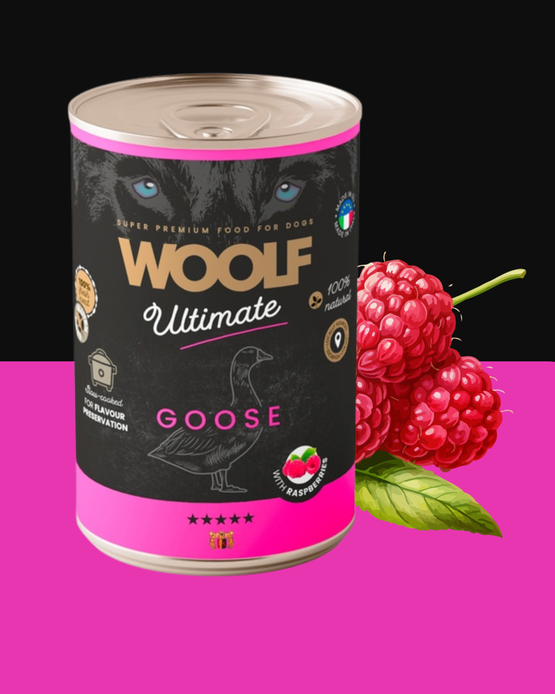 Woolf Ultimate märkäruoka - Hanhi & vadelma, 400g