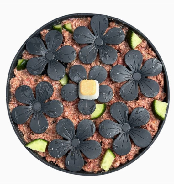 Slow feeder, nuolumatto Juul