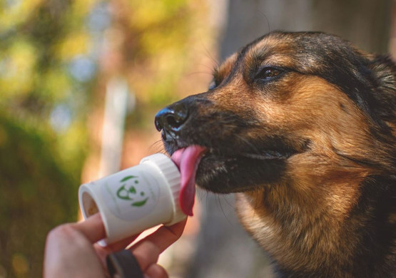 Doggypumper palkkauspuristin
